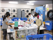 私物洗濯生産活動